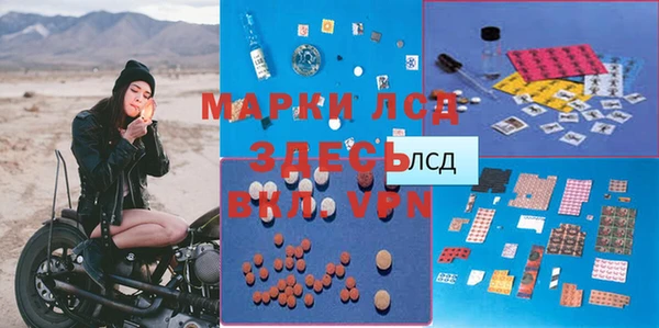 шишки Александровское