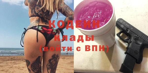 шишки Александровское