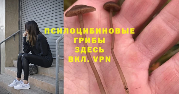 шишки Александровское
