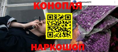 гашик Тверь