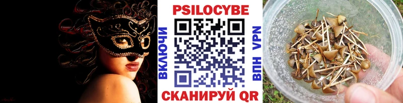 Псилоцибиновые грибы мицелий  Александров 