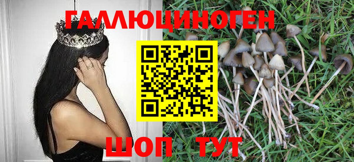 Псилоцибиновые грибы Psilocybe Александров