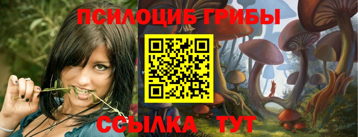 Псилоцибиновые грибы прущие грибы  Вход с VPN  Галлюциногенные грибы прущие грибы  Александров 