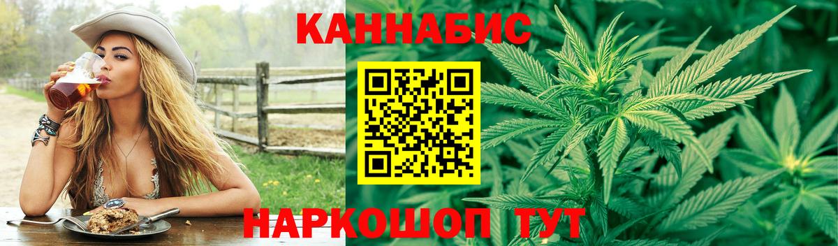 Канабис сатива Александров